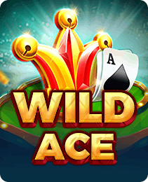 Wild Ace — slots game on bonu7 game